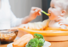 Sopinhas para Bebê – Receitas e Dicas A introdução de novos alimentos na alimentação de um bebê é um momento emocionante e importante para muitos pais. Entre esses alimentos, as sopinhas ganham destaque por serem nutritivas, saborosas e fáceis de preparar. Mas quando e como começar a oferecer sopinhas apara bebê? E quais ingredientes garantirão que o pequenino receba todos os nutrientes necessários para seu desenvolvimento?