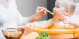 Sopinhas para Bebê – Receitas e Dicas A introdução de novos alimentos na alimentação de um bebê é um momento emocionante e importante para muitos pais. Entre esses alimentos, as sopinhas ganham destaque por serem nutritivas, saborosas e fáceis de preparar. Mas quando e como começar a oferecer sopinhas apara bebê? E quais ingredientes garantirão que o pequenino receba todos os nutrientes necessários para seu desenvolvimento?