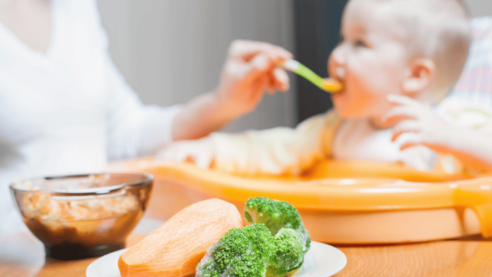 A introdução de novos alimentos na alimentação de um bebê é um momento emocionante e importante para muitos pais. Entre esses alimentos, as sopinhas ganham destaque por serem nutritivas, saborosas e fáceis de preparar. Mas quando e como começar a oferecer sopinhas apara bebê? E quais ingredientes garantirão que o pequenino receba todos os nutrientes necessários para seu desenvolvimento?