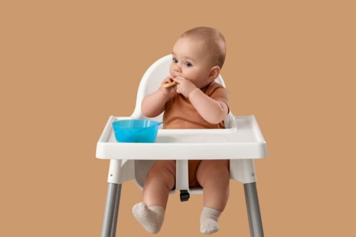 cadeirinhas-de-alimentação-para-bebê Nesse artigo, você vai conhecer 10 cadeirinhas de alimentação para bebê.